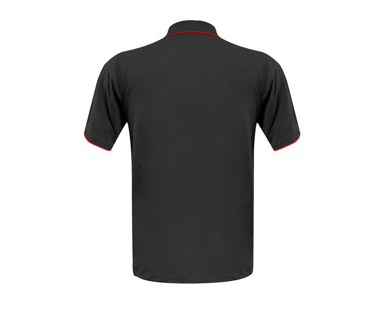 PoloD2-back
